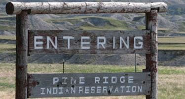 Woman sent to prison for role in drug cartel