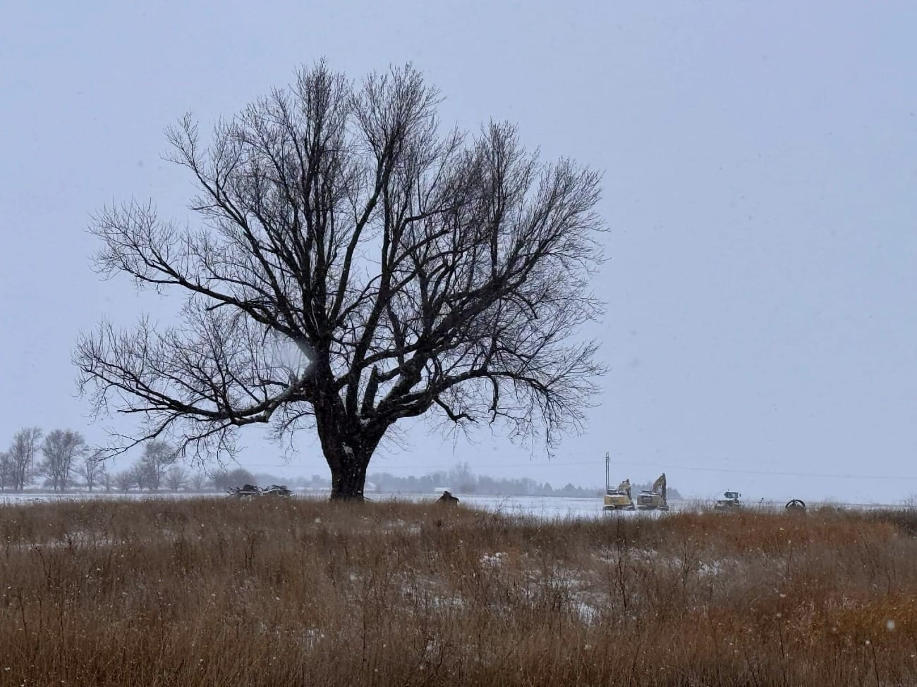 Prison site’s previous owners would be ‘rolling over in their graves’