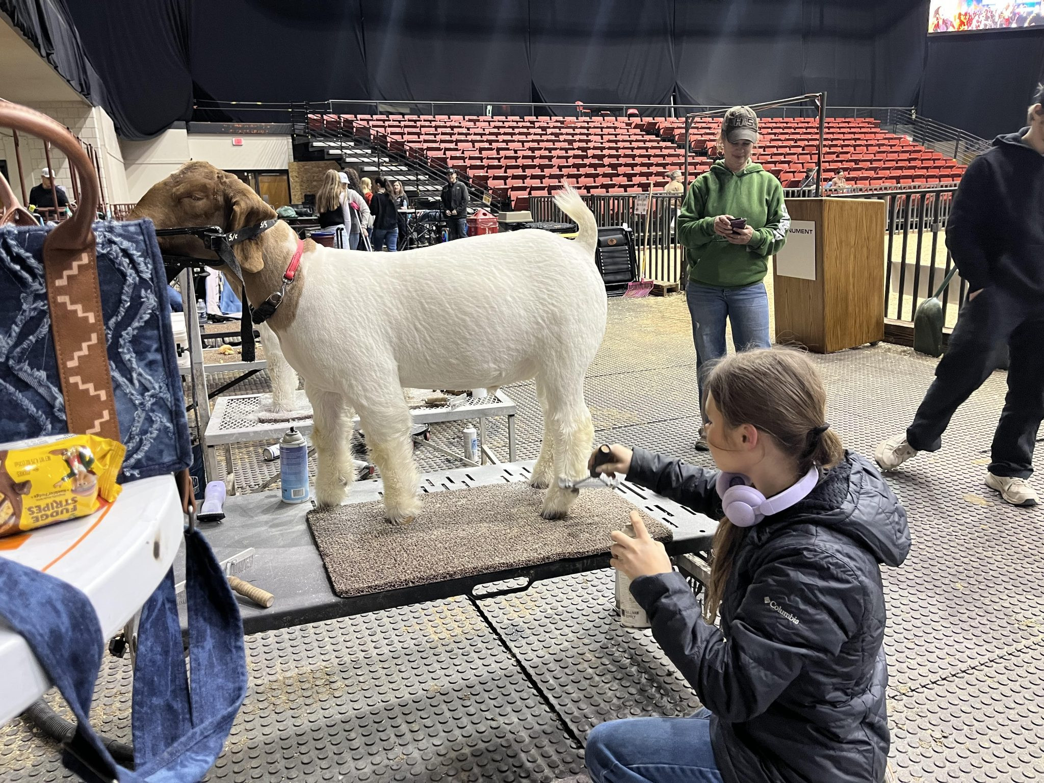 Youth Goat Showing Takes Center Stage at the Black Hills Stock Show
