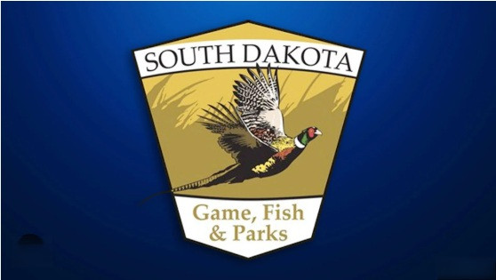 From the Elk Action Plan to fire protection in Custer State Park, SDGFP Commission to meet