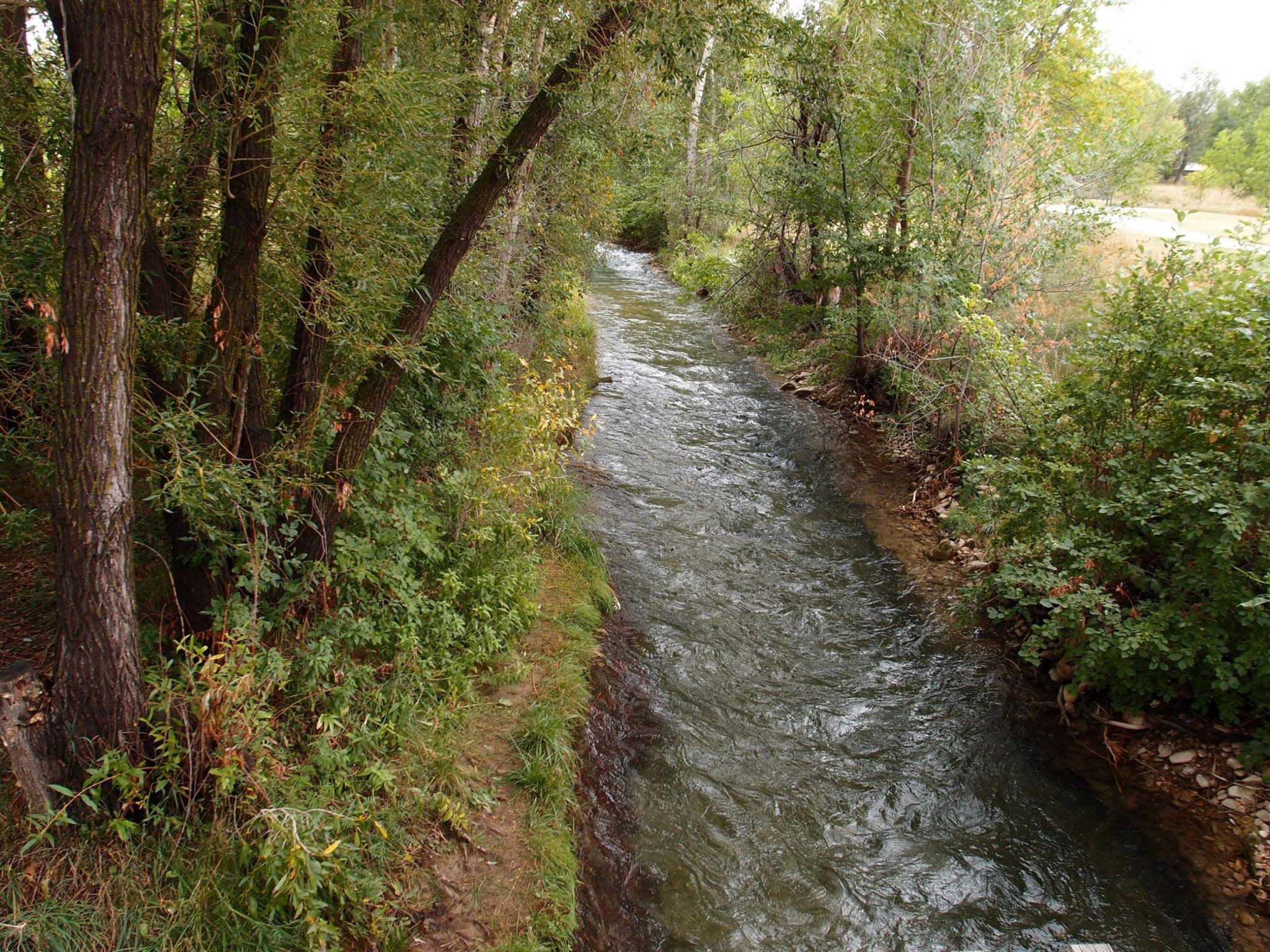 City Council adopts Phase 1 of Spearfish Creek Preservation Plan