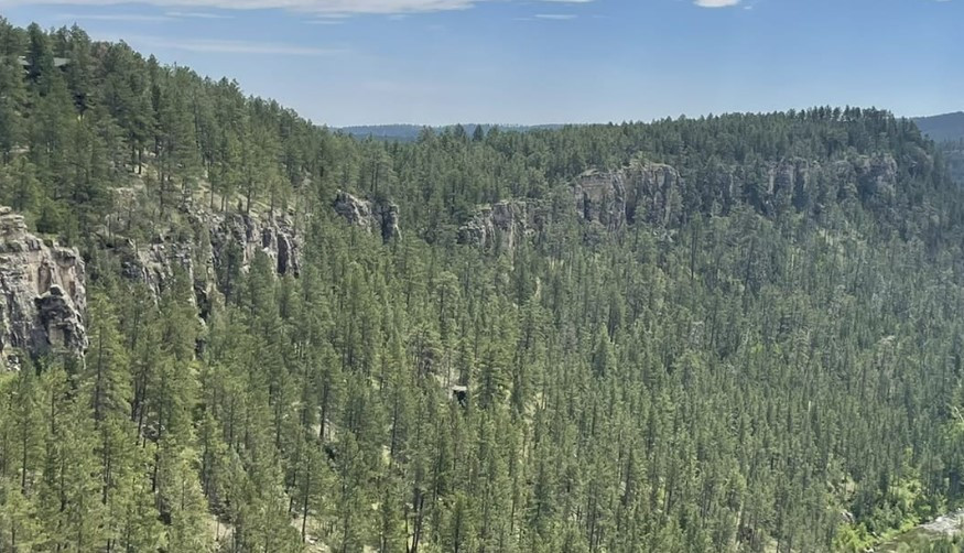 19-Year-Old Rapid City Woman Dies at Falling rock