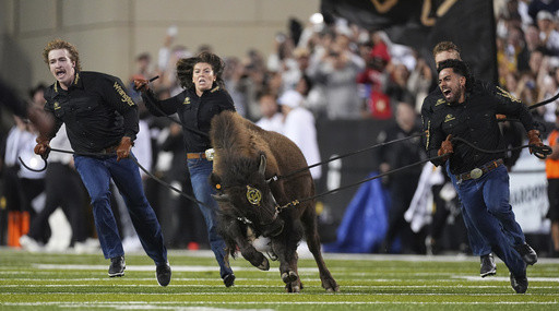 From Ralphie to Uga, live animal mascots inspire fans and create deep connections with their teams