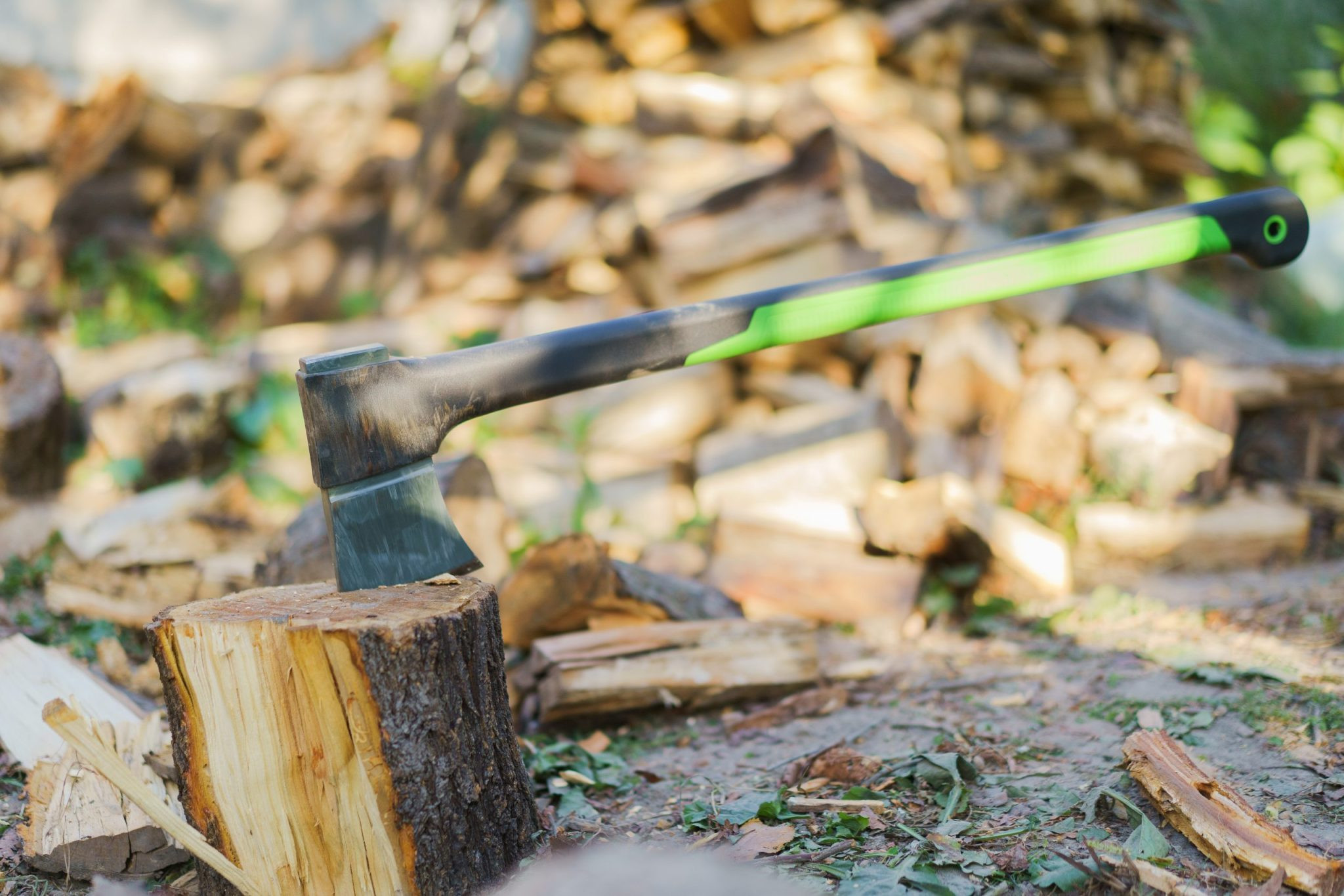 Nemo Lumberjack Days Return