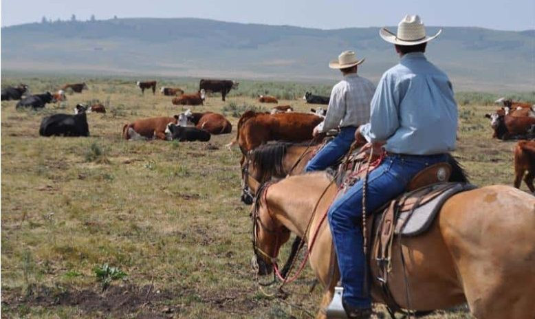 New Guild Gives Ranch Managers a Voice and a Community Across the West