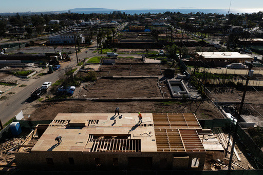 A year after LA-area wildfires destroyed thousands of homes, fewer than a dozen have been rebuilt