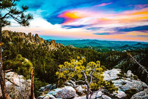 GFP Commission to Hold Meeting At Custer State Park’s Event Barn