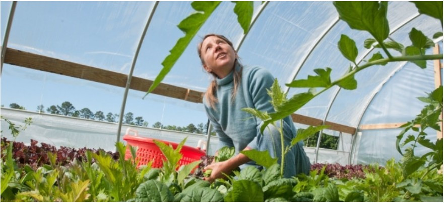 Direct payments made to federal specialty crop insurance agents to cover losses