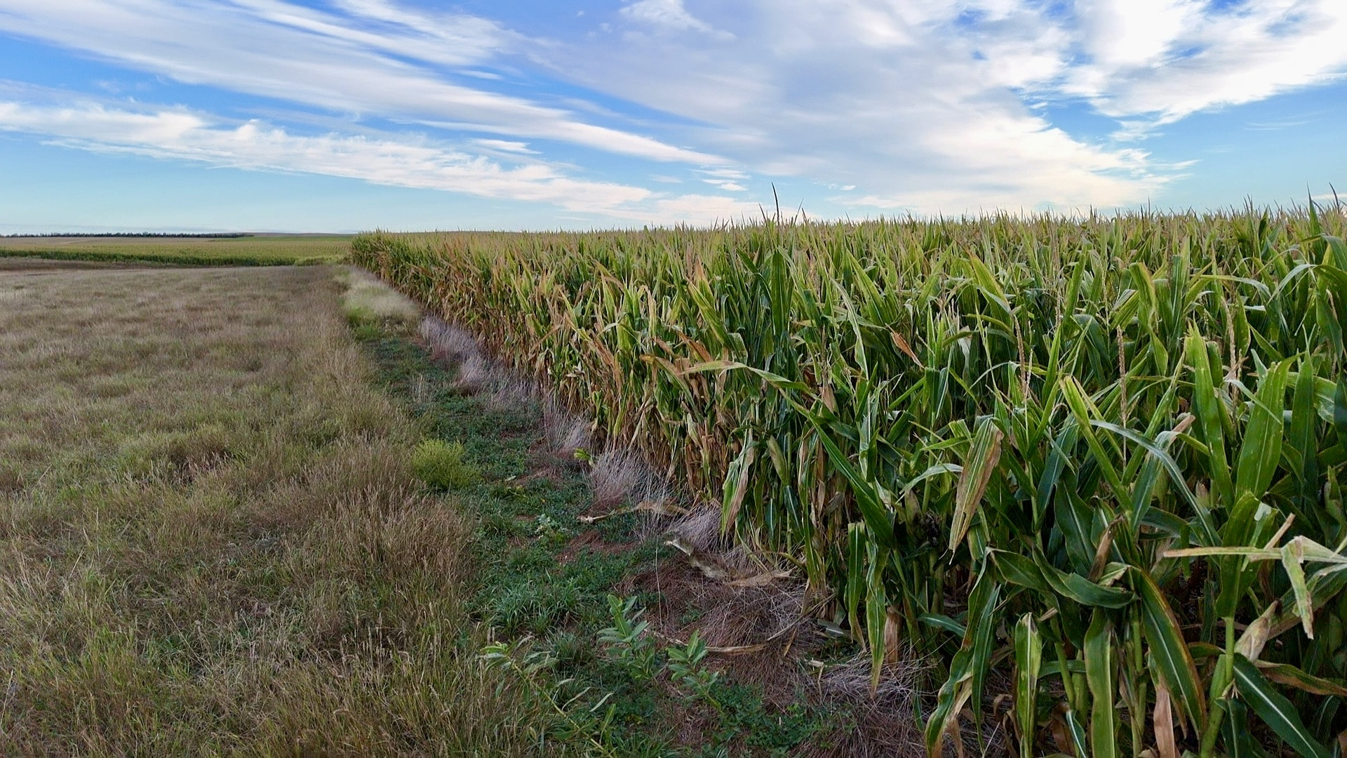 USDA staffing cuts raise concerns over access to conservation programs