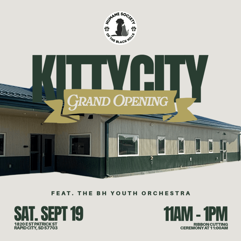 Humane Society’s New ‘Kitty City’ Opens Saturday After Hitting $75K Goal