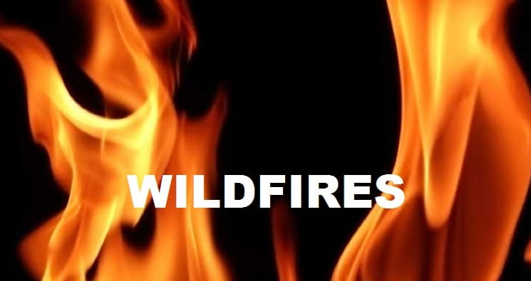 Fire crews battle small wildfires around the region
