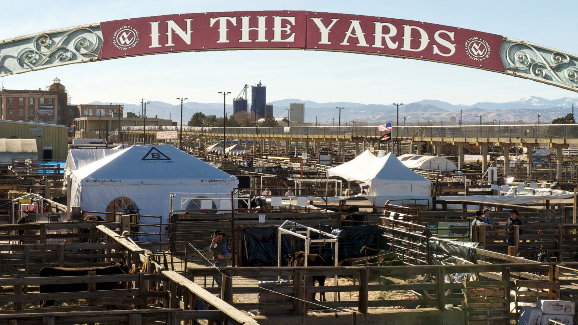 Legendary Bulls Sell at Denver for Generations
