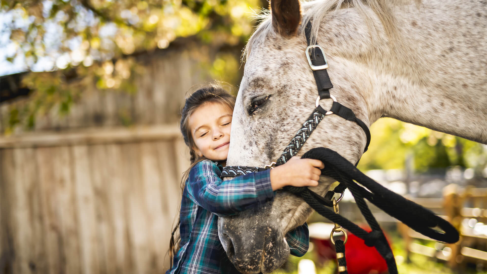 Horses That Heal: Equine therapy rising in popularity