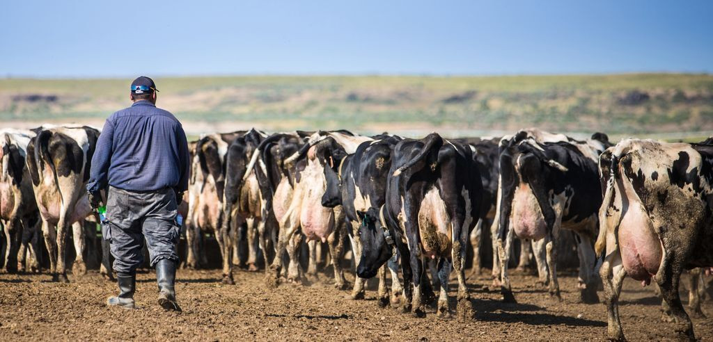 E-Verify requirements draw ag pushback in some Republican states