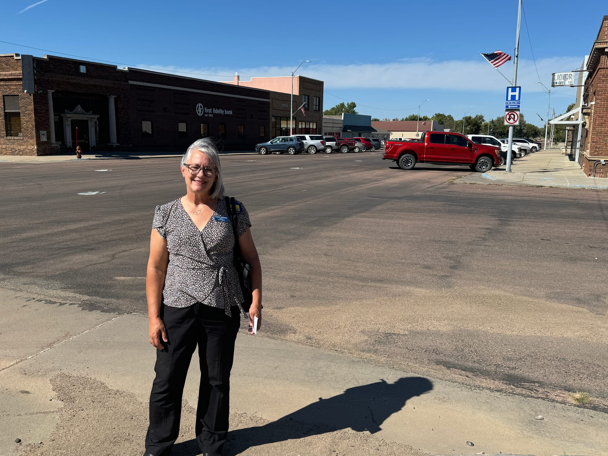 ‘People need a choice:’ Democrat Sheryl Johnson’s improbable dream