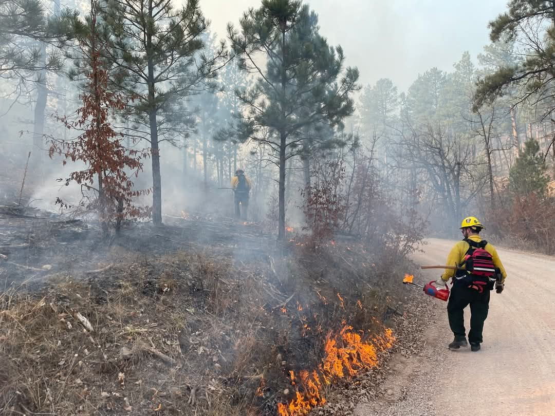 No Need to Dial 911: Black Hills National Forest to Conduct Prescribed Burn Near Rapid City Today