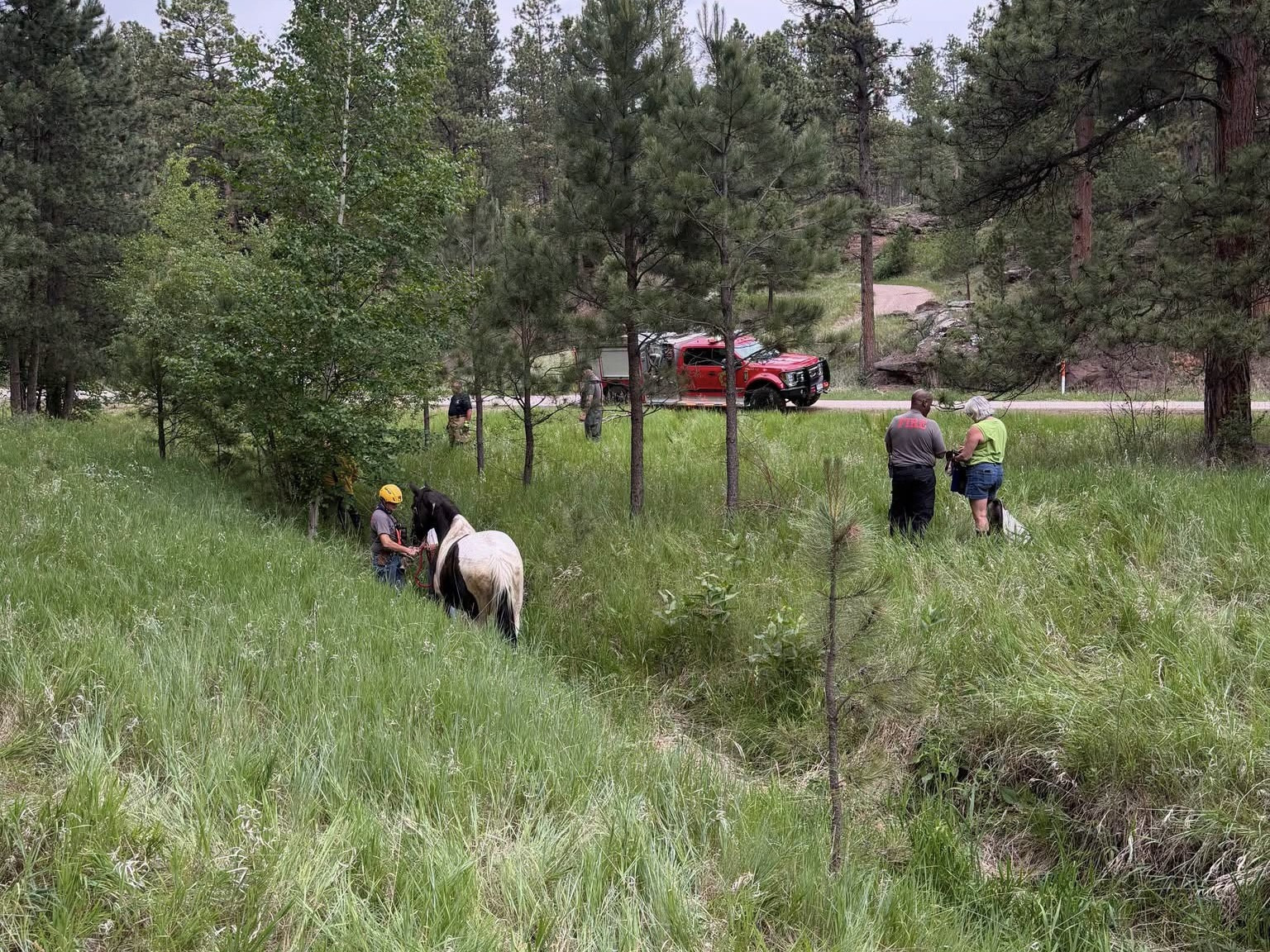 Unusual Rescue: Johnson Siding Firefighters Save Trapped Horse