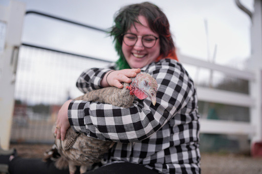 At The Gentle Barn, turkeys are for snuggling, not stuffing at Thanksgiving