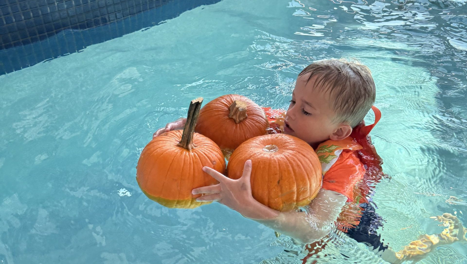 Youth Pumpkin Plunge Returns to Rapid City Pool