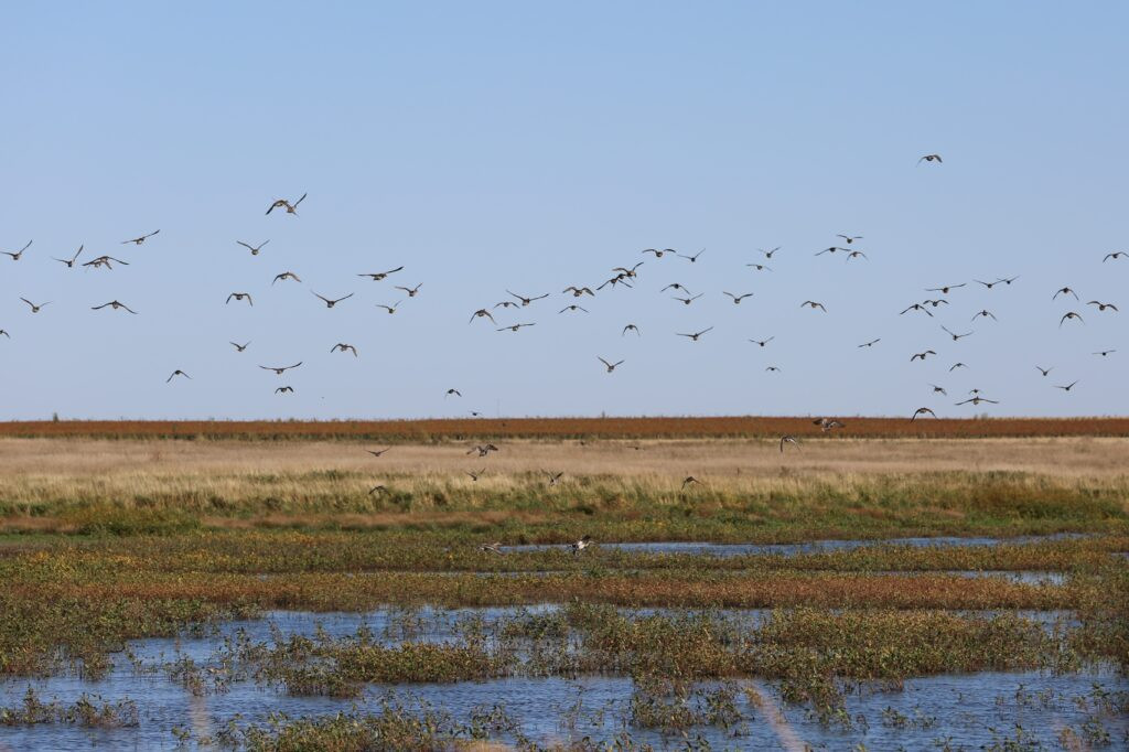 Game, Fish and Parks doesn’t disclose employee’s landowner status in lake refuge repeal
