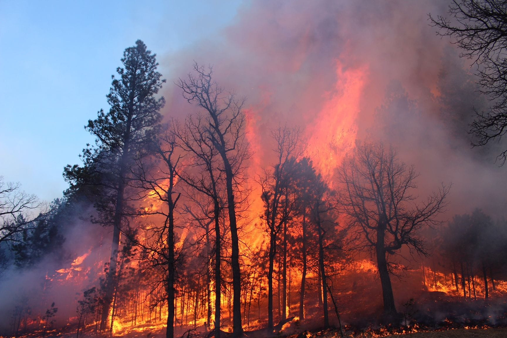Federal money to prevent Black Hills forest fires left ‘in limbo’