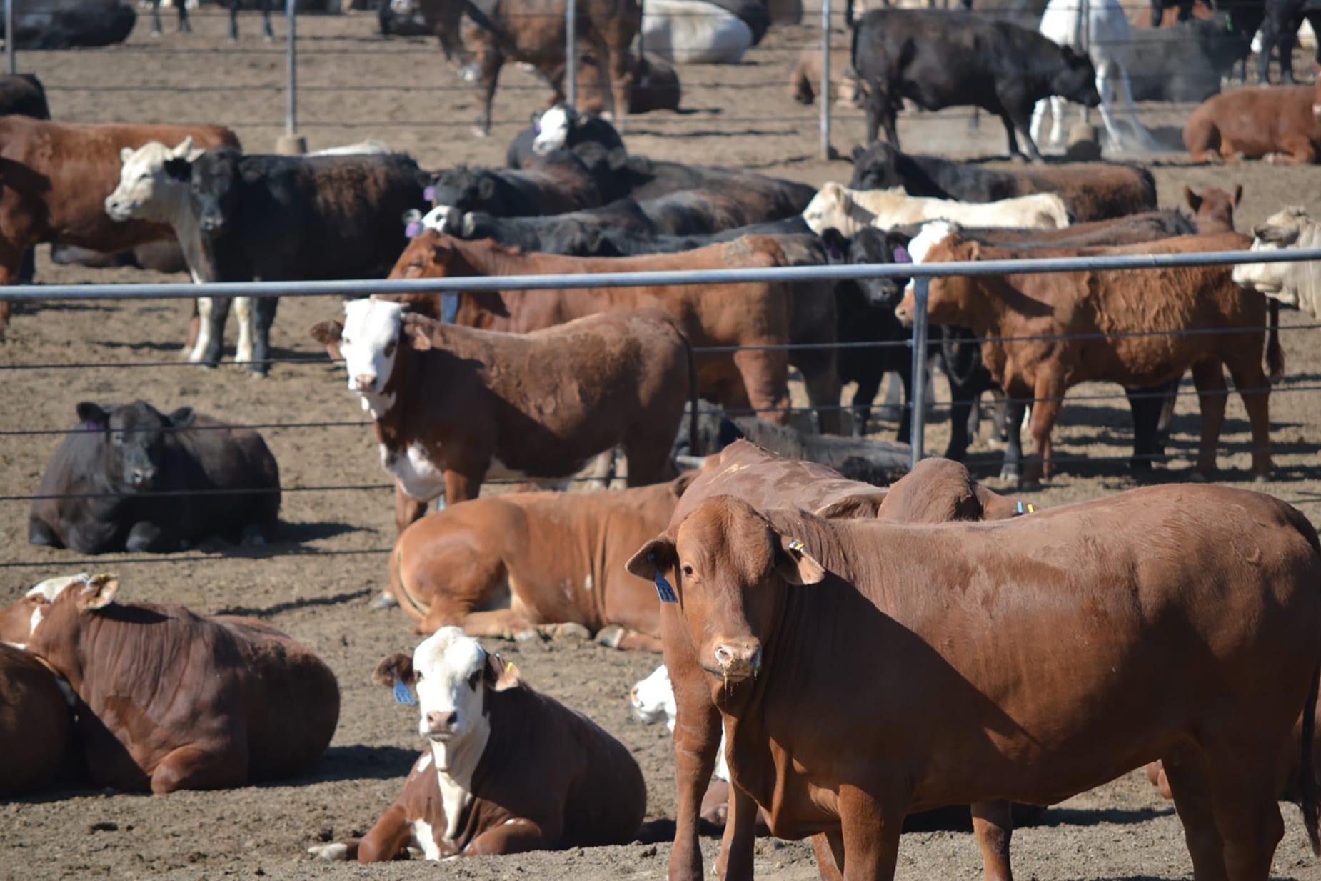 Downstream margin problems, long-term problems