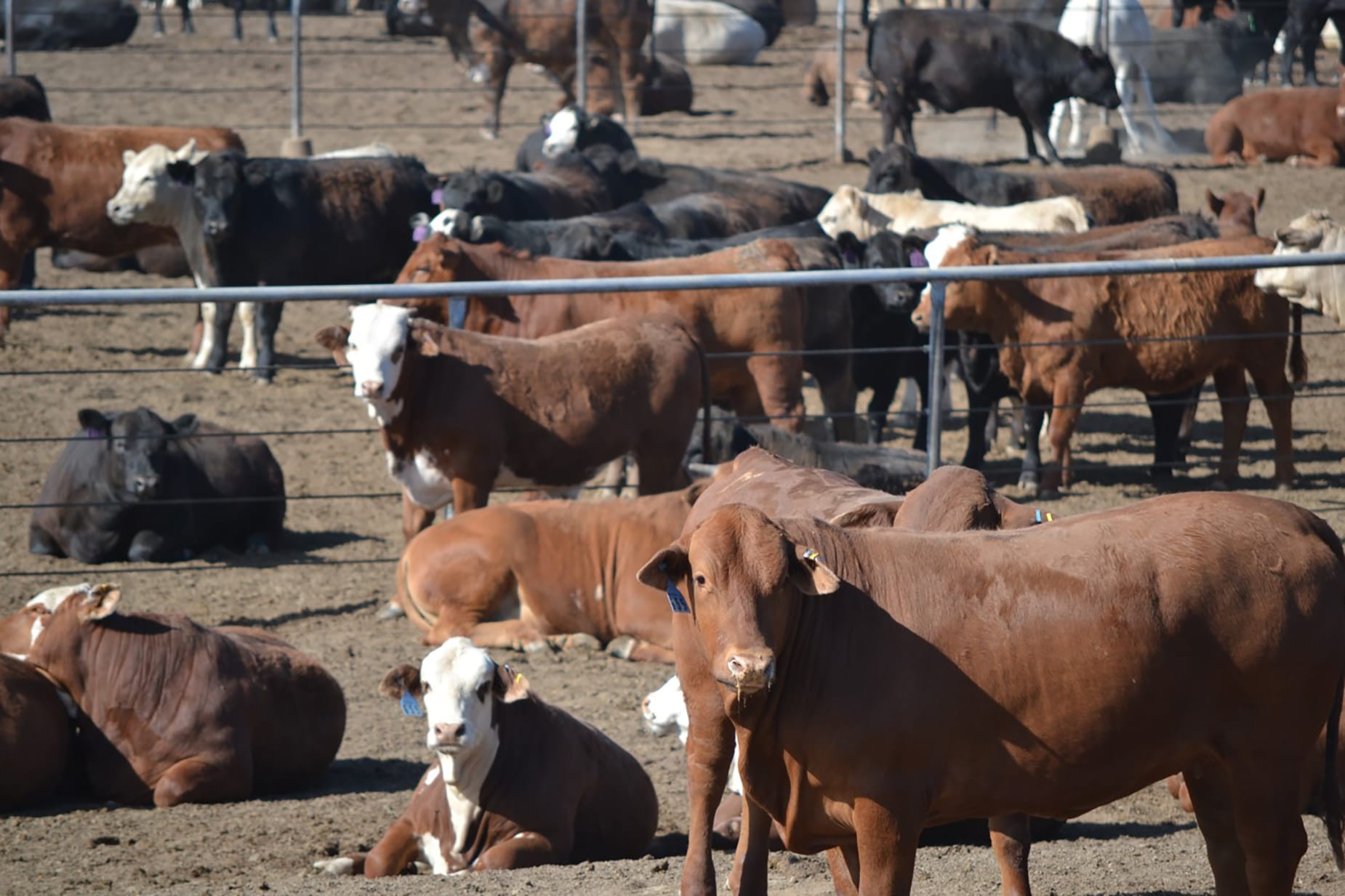 Downstream margin problems, long-term problems
