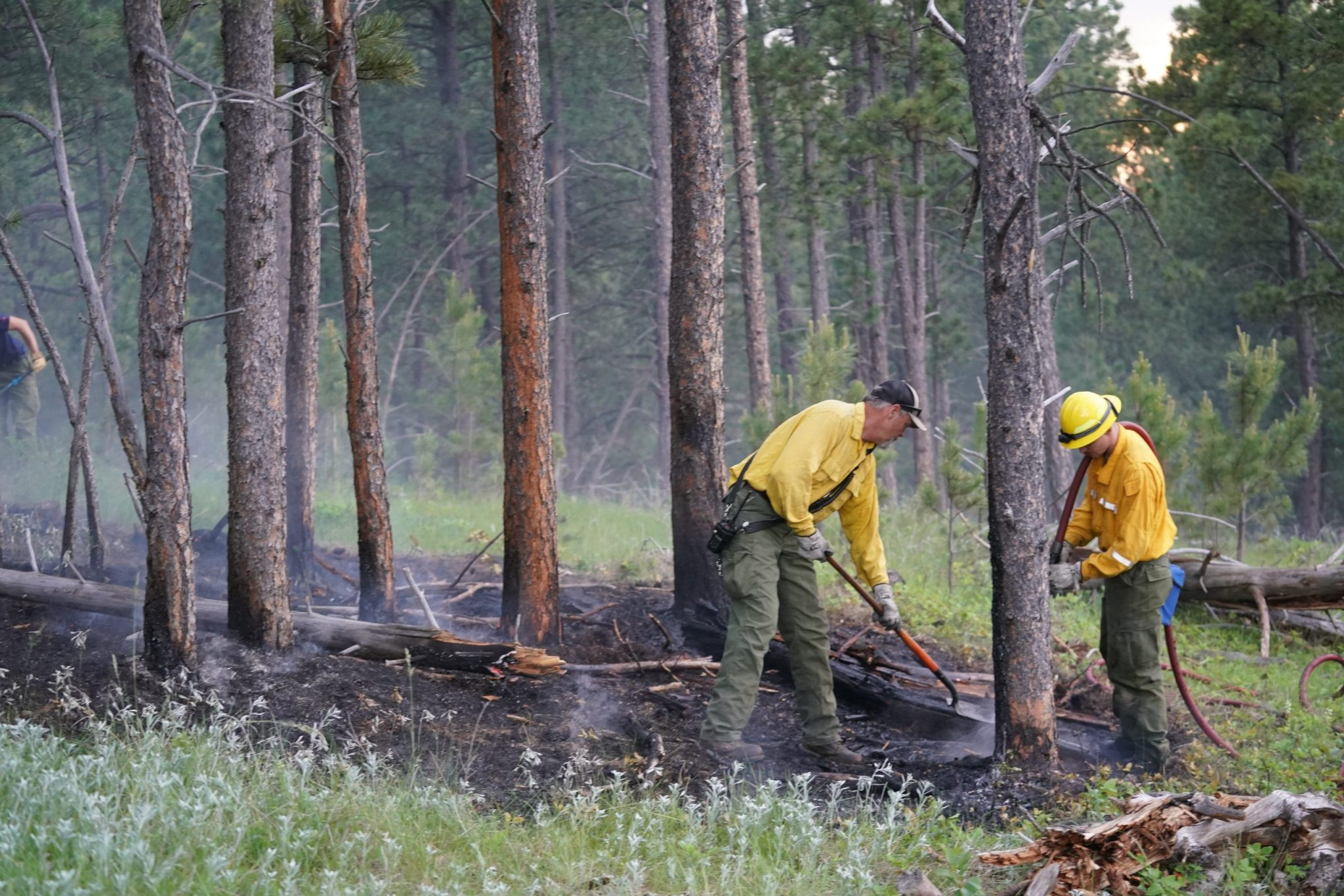 Lightning sparks several small fires in Northern Hills Tuesday Night