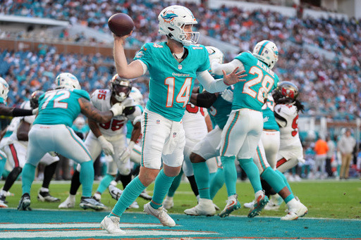 Dolphins are getting production from their young players, an encouraging sign for the future
