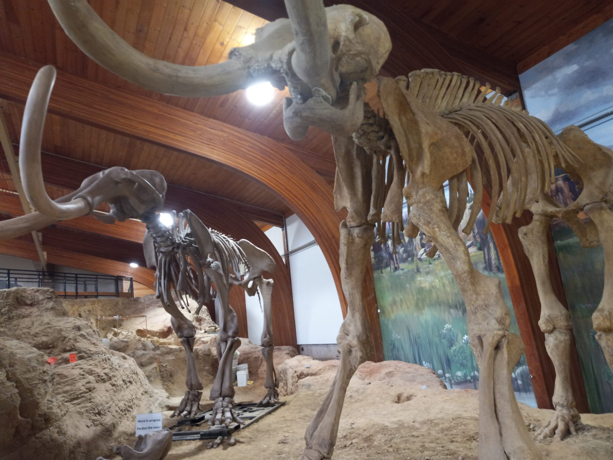 New Research Re-Dates The Mammoth Site