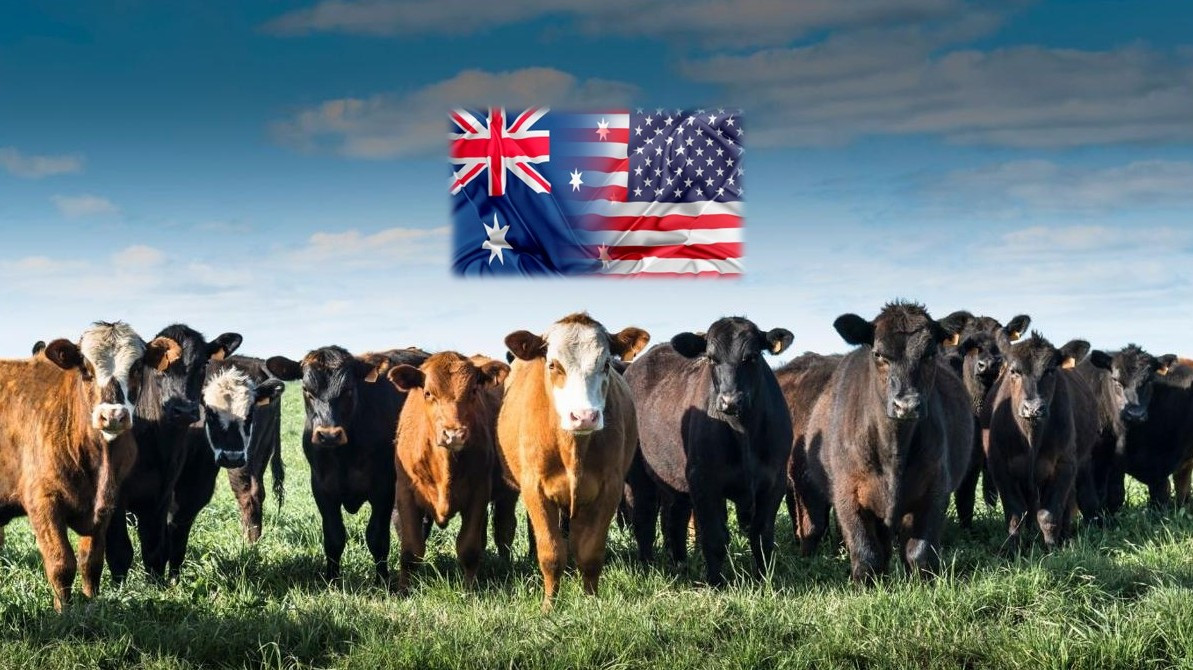 Country of origin labeling key to Australian/U.S. beef trade deal