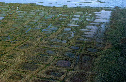 Lawsuit challenges the approval of an exploratory drilling program in Alaska petroleum reserve