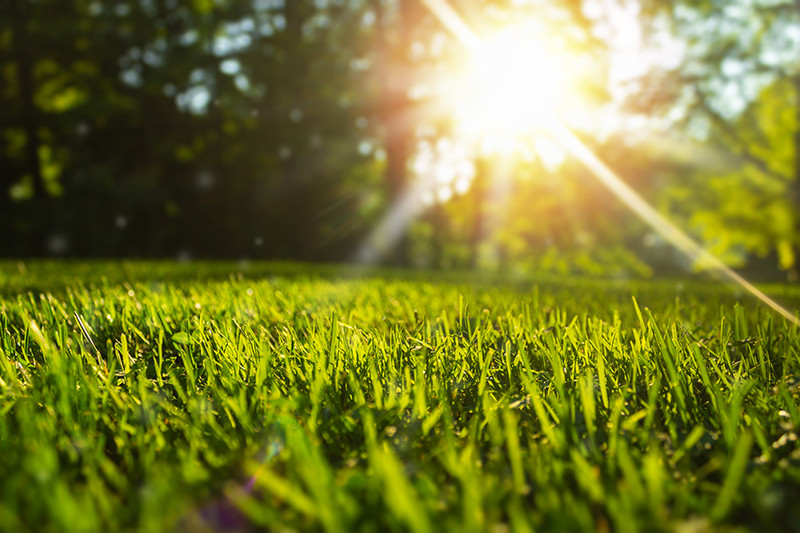 Preparing Your Lawn for Summer: Tips for Rapid City and Surrounding Areas