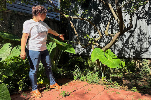 A long-lost ancient Roman artifact reappears in a New Orleans backyard