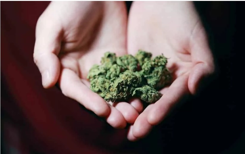 Authorities Warn About Drug-Impaired Driving Ahead Of 420 Day