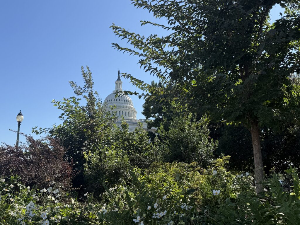 US Senate leaves nation’s capital in advance of midterms with much still undone