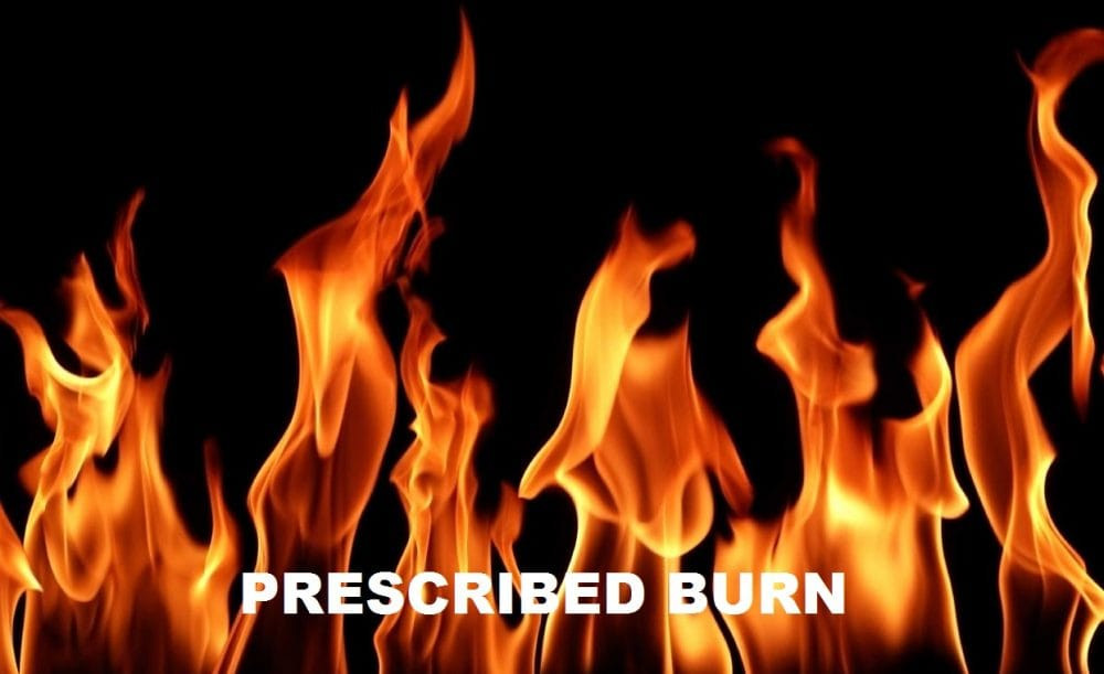 Burn planned for today southwest of Rapid City