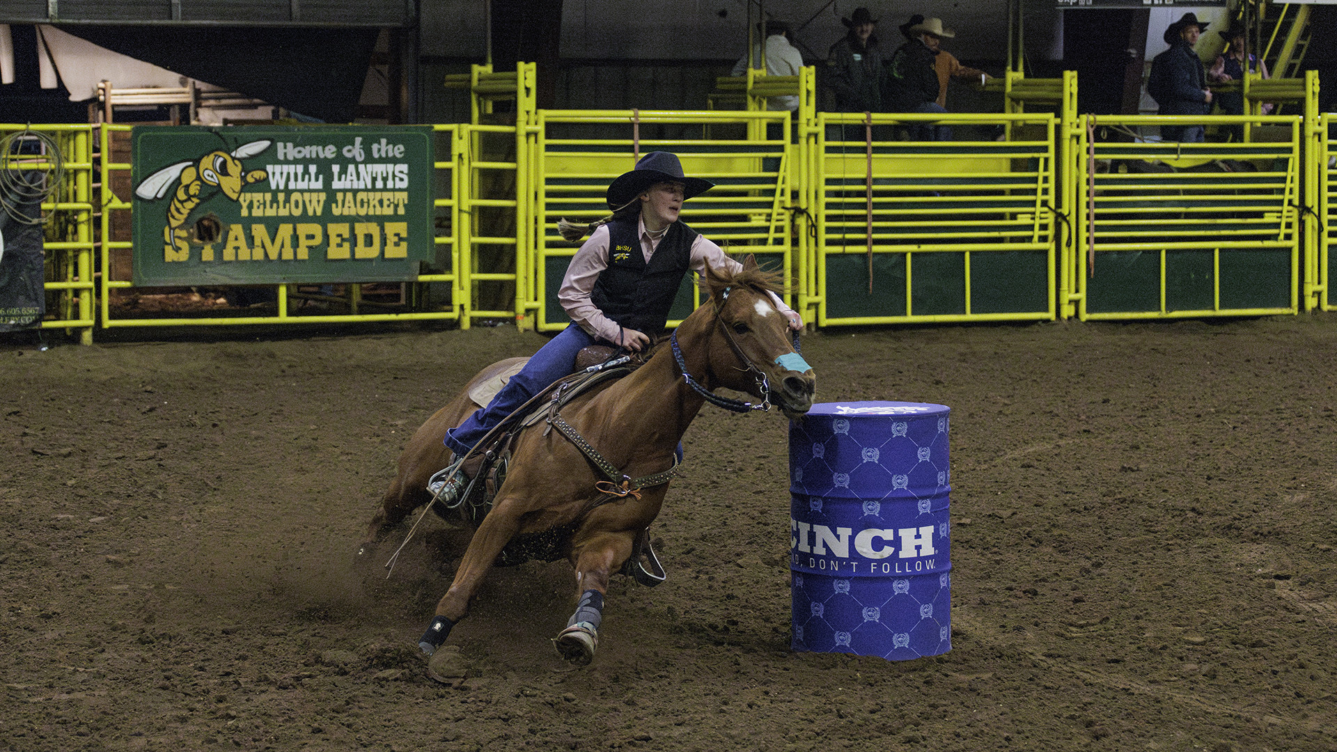 Yellow Jackets Back on Top as Cowgirls Win Will Lantis Yellow Jacket Stampede
