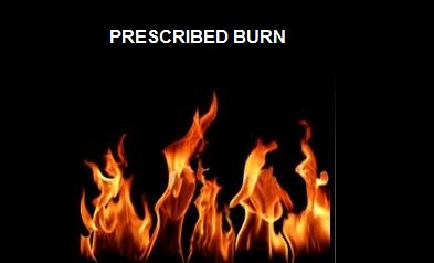 Broadcast Burn Planned Southwest of Rapid City