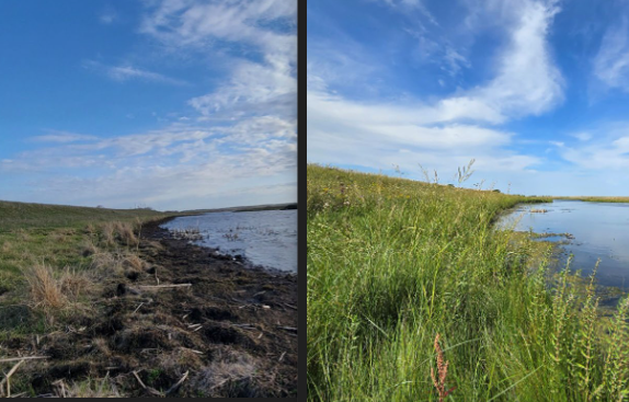 Amid water pollution debate, report shows results of $3 million river buffer program