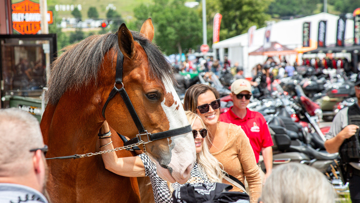Sturgis Motorcycle Rally Daily: August 1, 2025