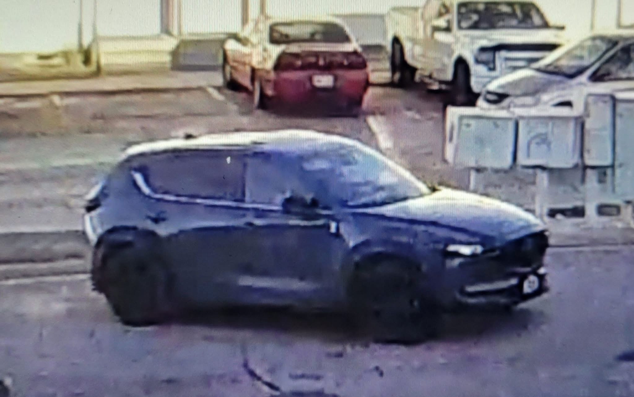 Drive-By Shooting, High Speed SUV, and Canine Killed