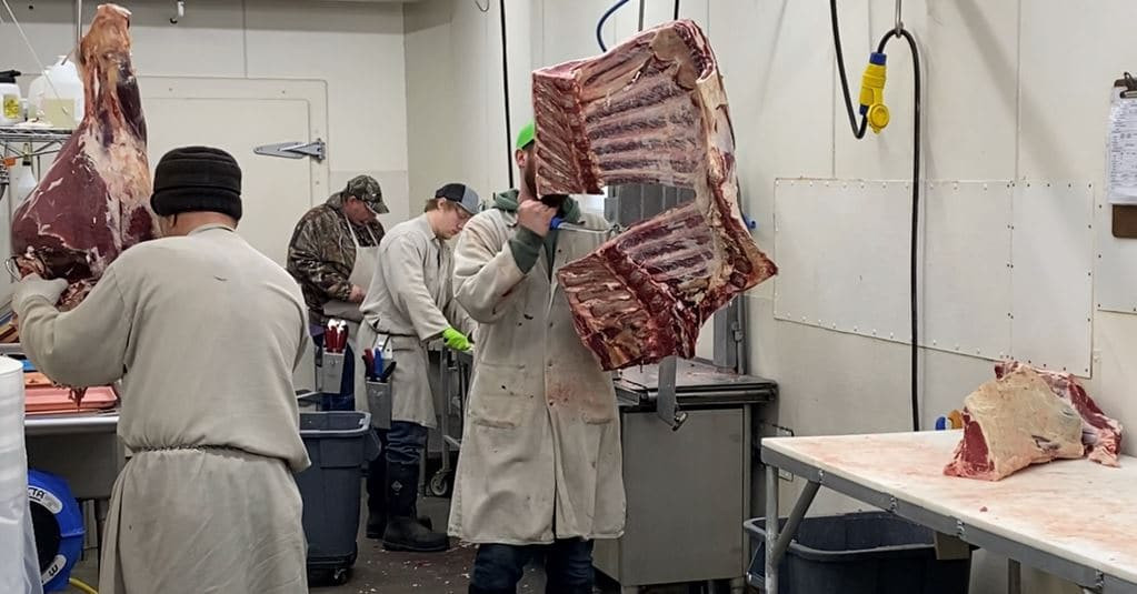 $500M to be paid to small and mid-size beef processors