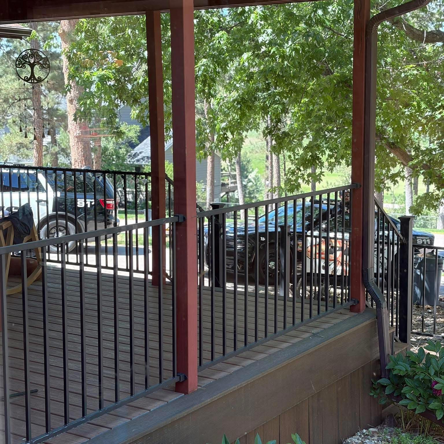 “Massive” Mountain Lion Spotted in Rapid City by Nursing Mother