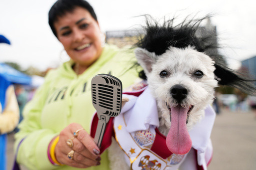 Dozens of costumed canines get their chance to trick-or-treating at Howloween event in Michigan
