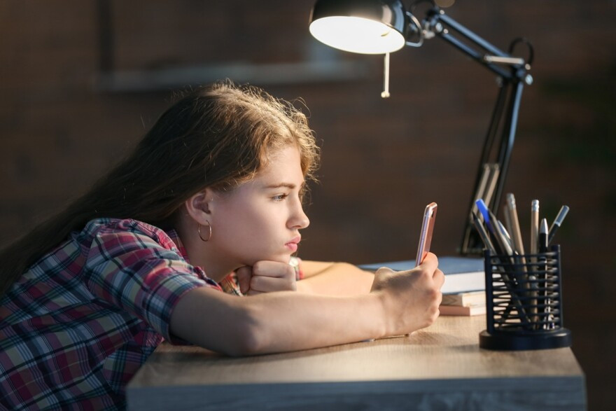 Age verification for porn sites starts in South Dakota