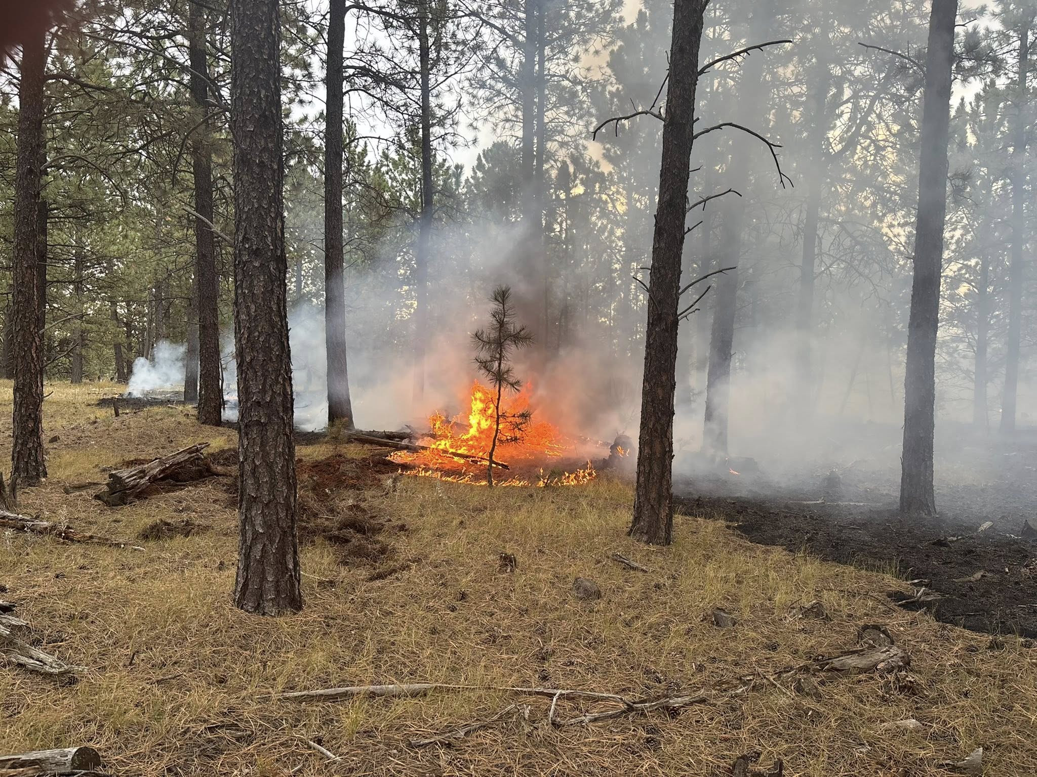Custer Crews Busy with Lightning-Sparked Fires