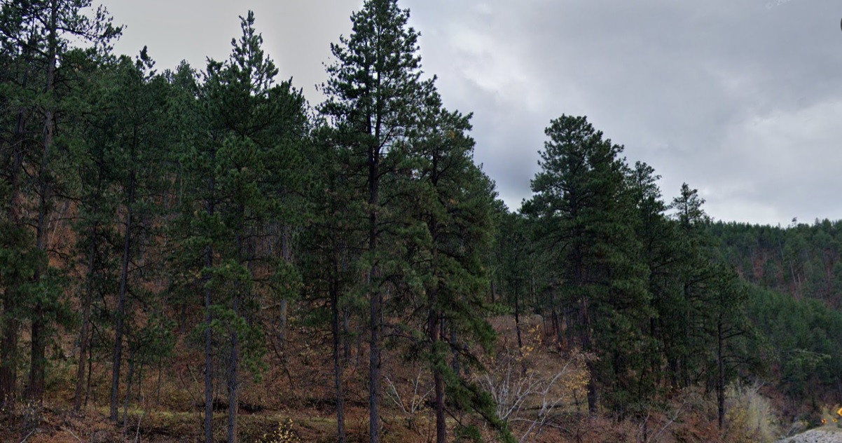 Shutdown Cost Black Hills Parks & Forests Association Over $105K