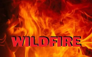 Lightning sparks several wildfires across the Black Hills