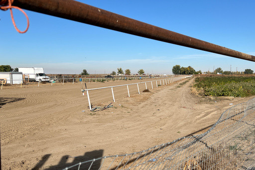 FBI raid at Idaho horse track shows how immigration is a top focus across law enforcement